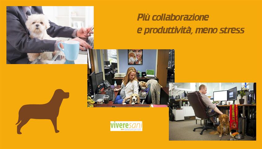Cambia il modo di lavorare... Cambia il modo di lavorare...
